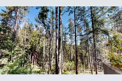 918 River Beach Road, The Sea Ranch, CA 95497 - Photo 9