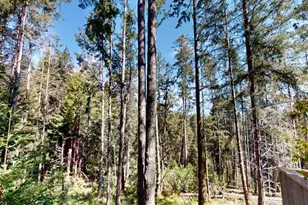 918 River Beach Rd, The Sea Ranch, CA 95497 - Photo 9