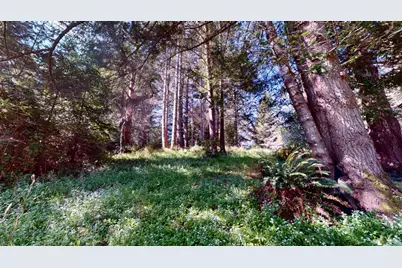 918 River Beach Road, The Sea Ranch, CA 95497 - Photo 7