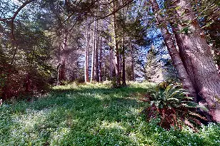 918 River Beach Rd, The Sea Ranch, CA 95497 - Photo 7