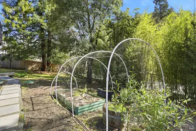 10 Pedrini Way, Lagunitas, CA 94938 - Photo 31