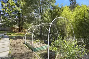 10 Pedrini Wy, Lagunitas, CA 94938 - Photo 31