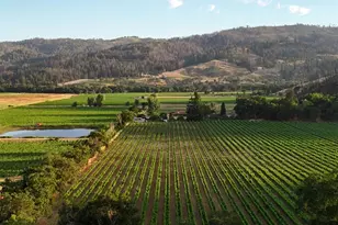 4405 Silverado Trail, Calistoga, CA 94515 - Photo 75