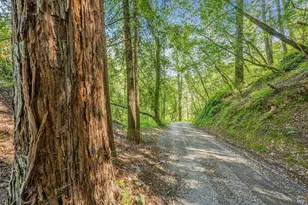 1311 W Dry Creek Rd, Healdsburg, CA 95448 - Photo 45