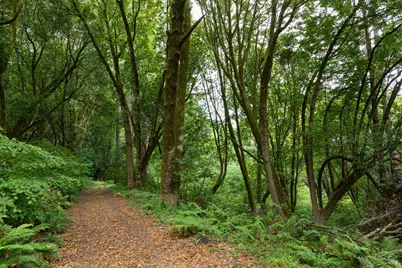 70 Fox Drive, Inverness, CA 94956 - Photo 29