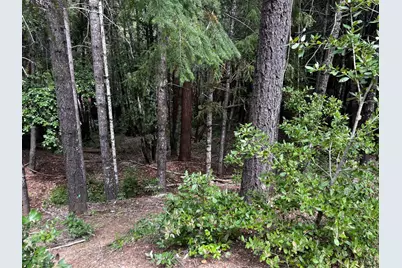 1572 Camellia Place, Willits, CA 95490 - Photo 3