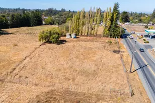 3790 Hwy 116 S Hwy, Sebastopol, CA 95472 - Photo 3