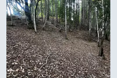 1921 Clover Drive, Willits, CA 95490 - Photo 3