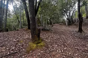 1921 Clover Dr, Willits, CA 95490 - Photo 1