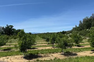 18525 Farquhar Rd, Cottonwood, CA 96022 - Photo 25