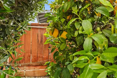 1328 Monte Maria Avenue, Novato, CA 94947 - Photo 31