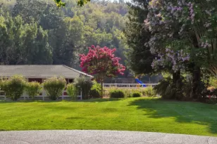 1321 Butterfield Rd, San Anselmo, CA 94960 - Photo 3