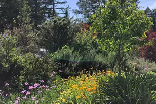 578 Caber Dr, Santa Rosa, CA 95409 - Photo 33