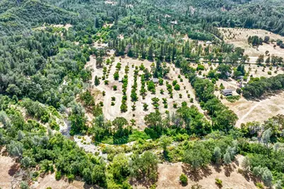 22550 Shady Grove Road, Middletown, CA 95461 - Photo 27