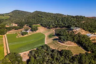 1535 Sage Canyon Rd, Saint Helena, CA 94574 - Photo 31