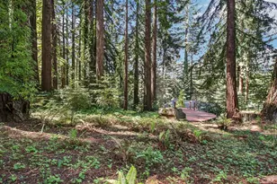 12480 Fiori Ln, Sebastopol, CA 95472 - Photo 47
