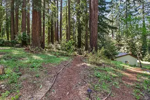 12480 Fiori Ln, Sebastopol, CA 95472 - Photo 49