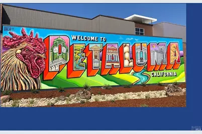 2147 Falcon Ridge Drive, Petaluma, CA 94954 - Photo 49