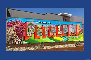 2147 Falcon Ridge Dr, Petaluma, CA 94954 - Photo 49