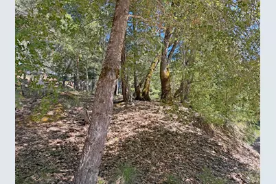 25940 Poppy Place, Willits, CA 95490 - Photo 3