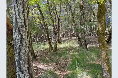 2076 Buckeye Road, Willits, CA 95490 - Photo 5