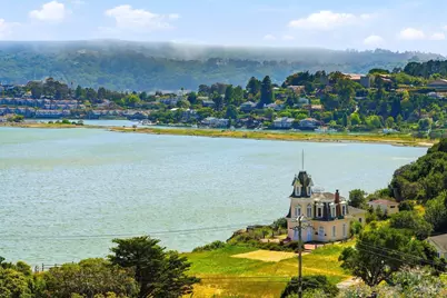 14 Janet Way #149, Tiburon, CA 94920 - Photo 43