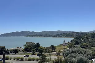 14 Janet Way, Tiburon, CA 94920 - Photo 39