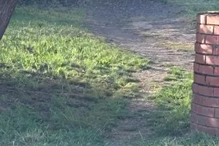 9814 Diane Ln, Upper Lake, CA 95485 - Photo 35