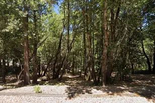 1664 Lilac Cir, Willits, CA 95490 - Photo 1