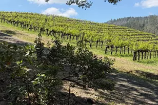 1312 Summit Dr, Calistoga, CA 94515 - Photo 61