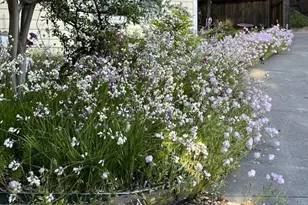 113 Heidi Ln, Cloverdale, CA 95425 - Photo 69