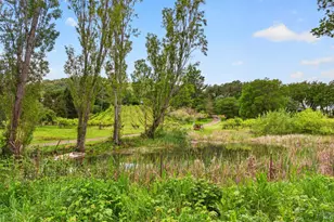 7440 Wild Horse Valley Rd, Napa, CA 94558 - Photo 11