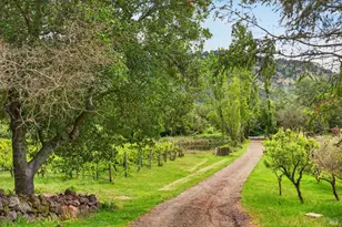 7440 Wild Horse Valley Rd, Napa, CA 94558 - Photo 7