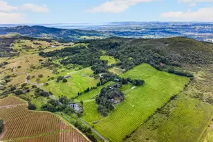 7440 Wild Horse Valley Rd, Napa, CA 94558 - Photo 3