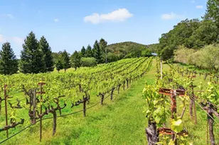 7440 Wild Horse Valley Rd, Napa, CA 94558 - Photo 29