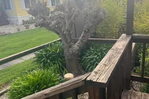 33 Chestnut Ct, Rohnert Park, CA 94928 - Photo 25