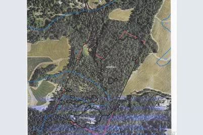 440 Cold Springs Road, Angwin, CA 94508 - Photo 47