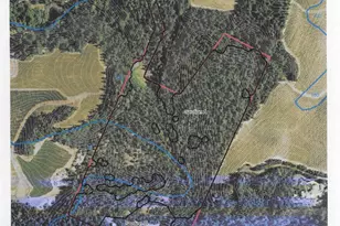 440 Cold Springs Rd, Angwin, CA 94508 - Photo 47