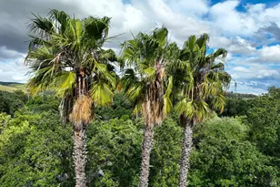 3871 Danbury Way, Fairfield, CA 94533 - Photo 99