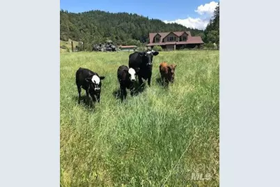 7001 Hearst Willits Road, Willits, CA 95490 - Photo 39