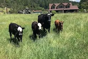 7001 Hearst Willits Rd, Willits, CA 95490 - Photo 39