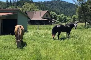 7001 Hearst Willits Rd, Willits, CA 95490 - Photo 37