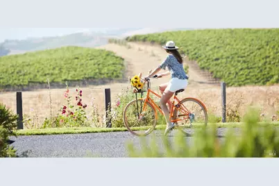 4048 Sonoma Highway #03, Napa, CA 94558 - Photo 5