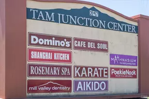 755 Miller Ave, Mill Valley, CA 94941 - Photo 43