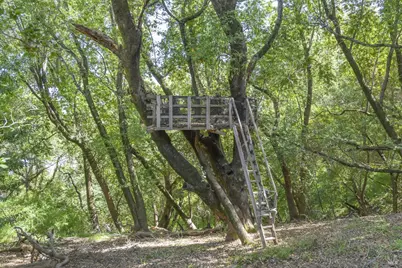 101 Garner Drive, Novato, CA 94947 - Photo 53