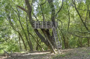 101 Garner Dr, Novato, CA 94947 - Photo 53