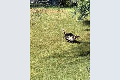 10180 Highway 29, Lower Lake, CA 95457 - Photo 33