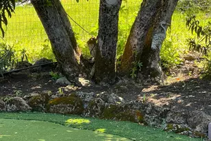 13017 Park Dr, Lower Lake, CA 95457 - Photo 13