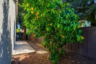 661 Vintage Valley Dr, Fairfield, CA 94534 - Photo 53