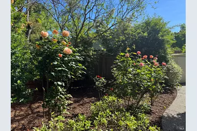 406 Corrillo Drive, San Rafael, CA 94903 - Photo 29